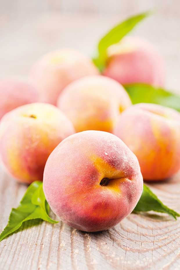 peach peaches how to prune