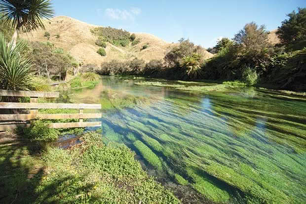 nitrogen leaching on farm new zealand