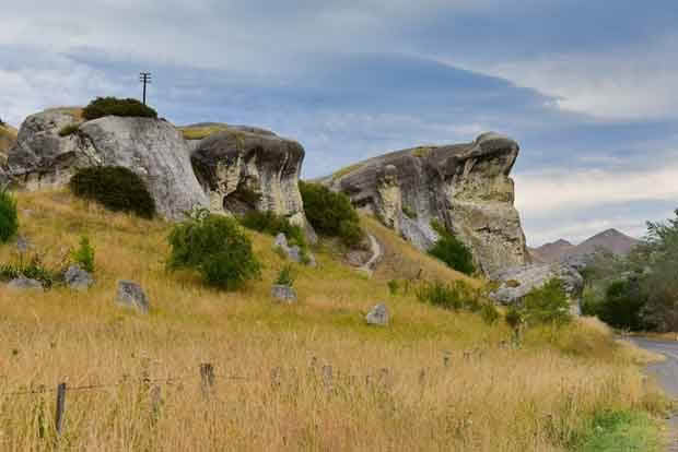 Frog Rock New Zealand