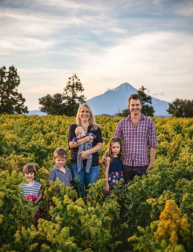 quinoa grower nz