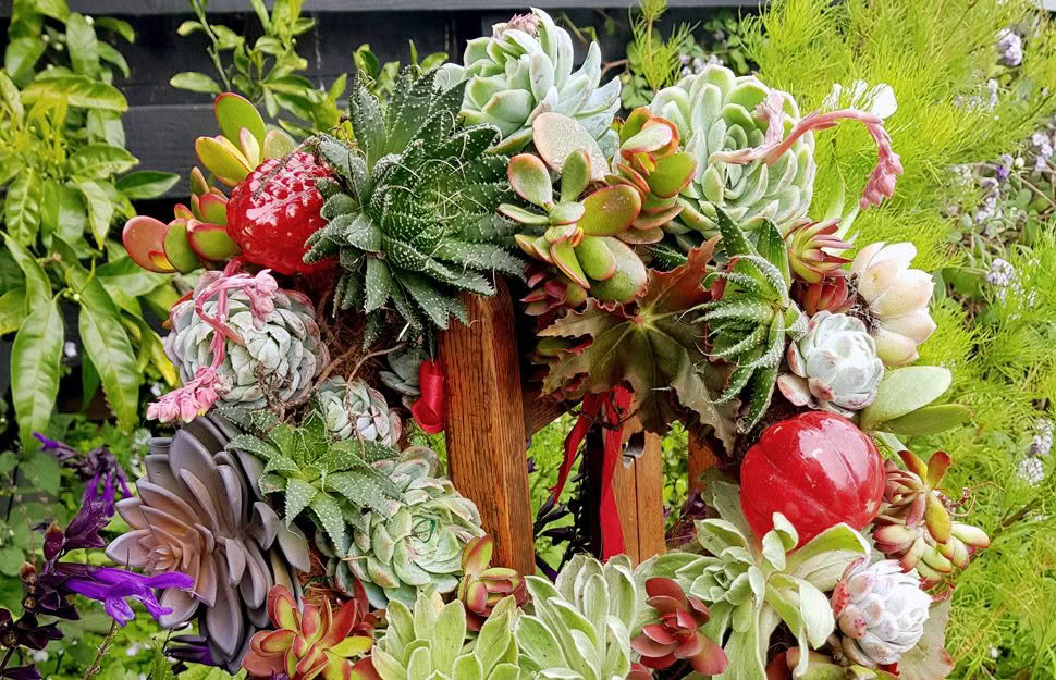 DIY: How to make a living succulent wreath