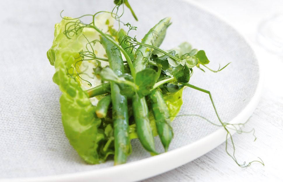 Recipe: Summer Beans & Greens with Honey & Cumin Vinaigrette