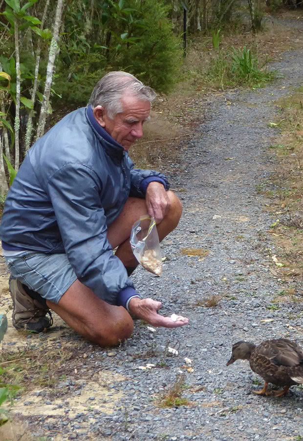 Jim Mowat fees ducks on Jim's Walkway in Tapeka, Russell. 