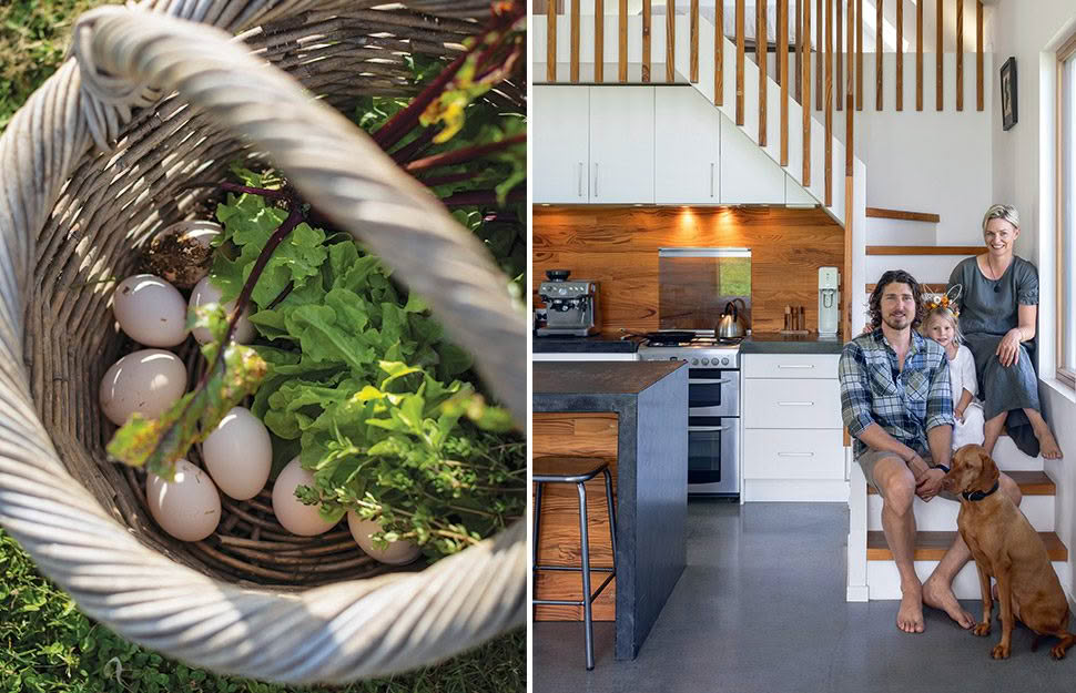 Chic minimalism meets off-grid living at this couple's home, hut and ...