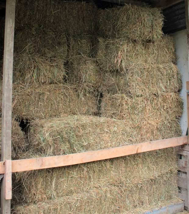 Hay making