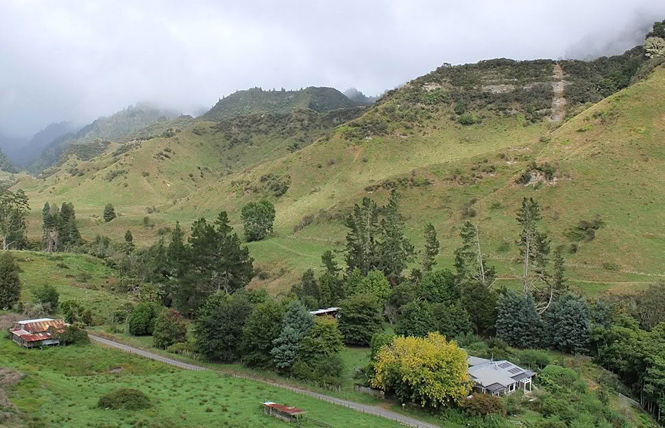 Rebecca Stewart A No. 8 wire attitude