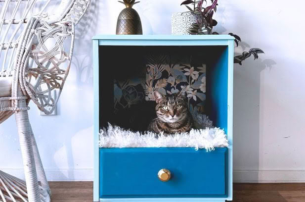 How-to Upcycle a Bedside Table into a Cat Bed