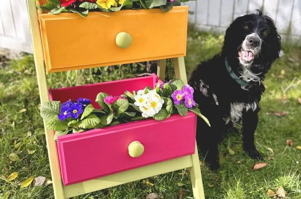 How to make a plant stand out of an old chair