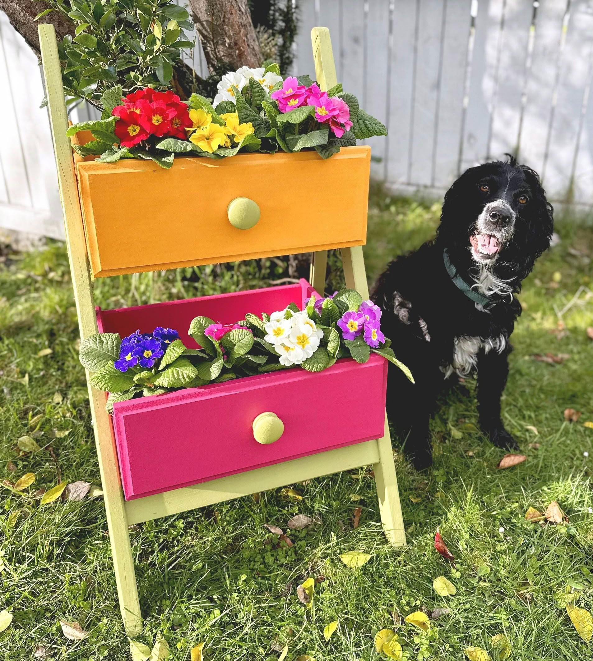 A dog is standing next to a planter with flowers in it.