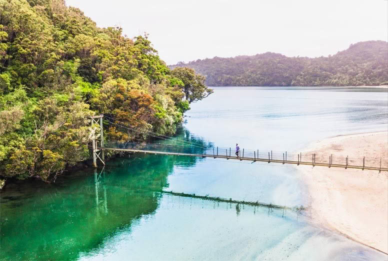 A person is walking across a wooden bridge over a lake.