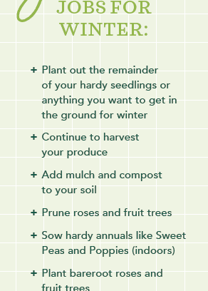 The garden never sleeps! Jobs to do in Winter