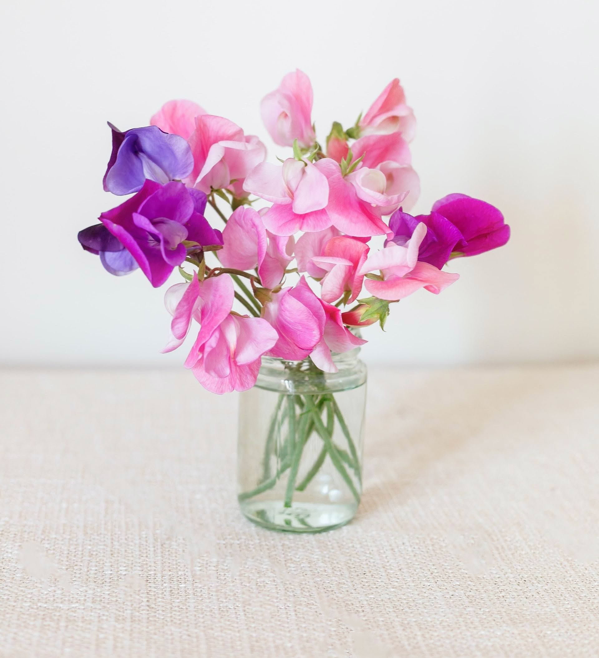 A vase filled with pink and purple flowers