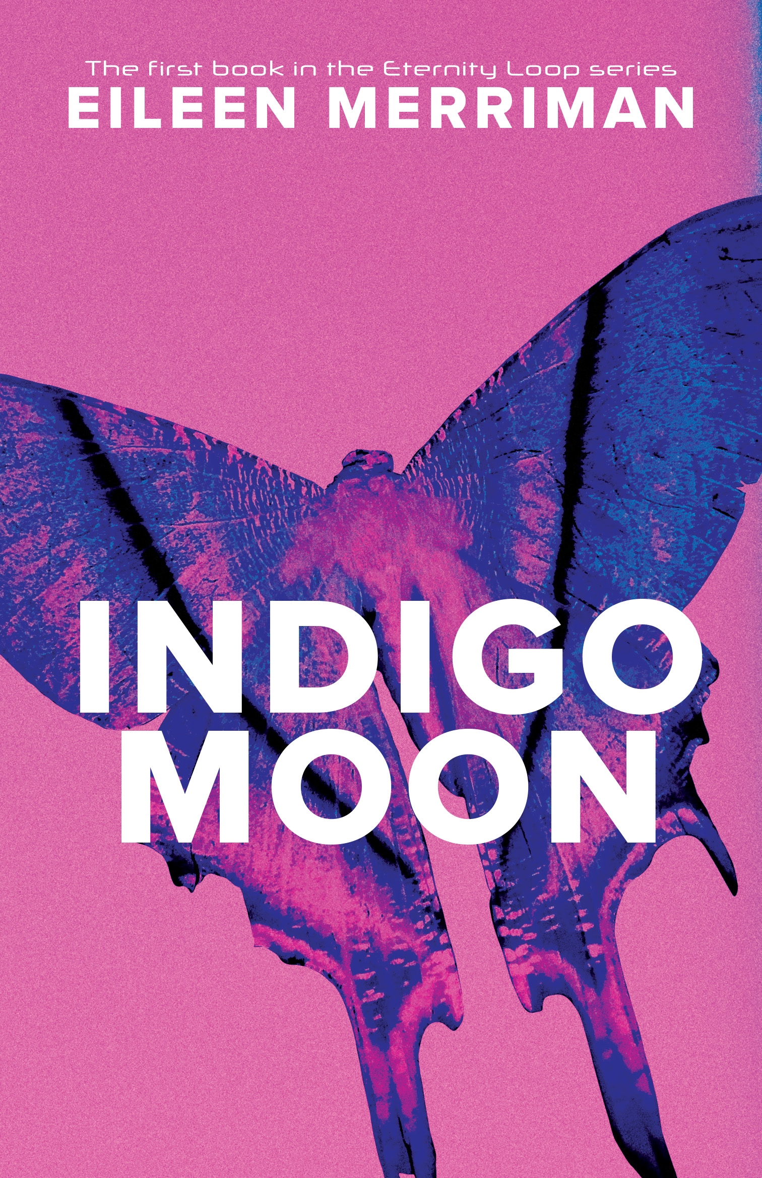 A book called indigo moon by eileen merriman