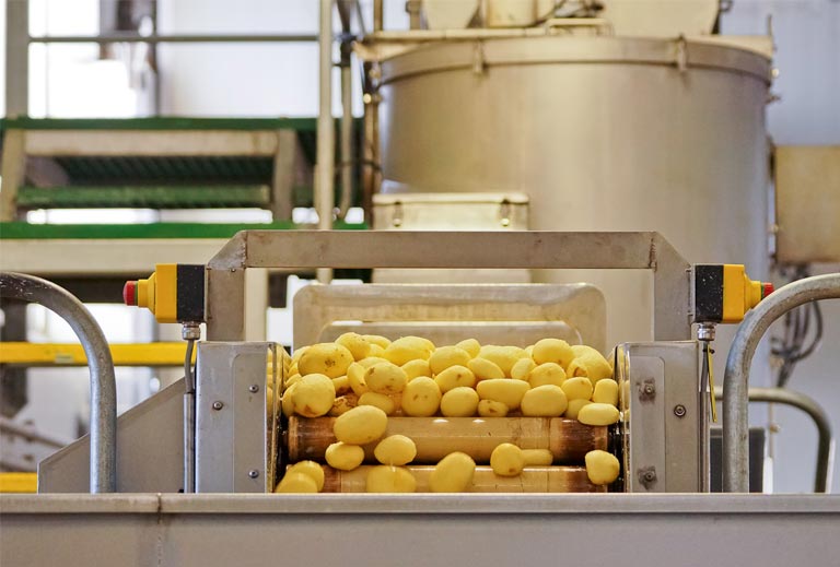 Potatoes are being processed on a conveyor belt in a factory.