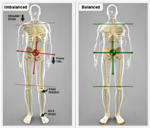 A diagram of a man 